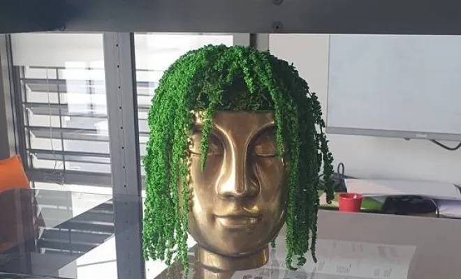 Décoration végétale stabilisée à Lyon, Lyon, MOSS SMART NATURE