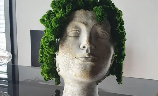 Décoration végétale stabilisée à Lyon, Lyon, MOSS SMART NATURE