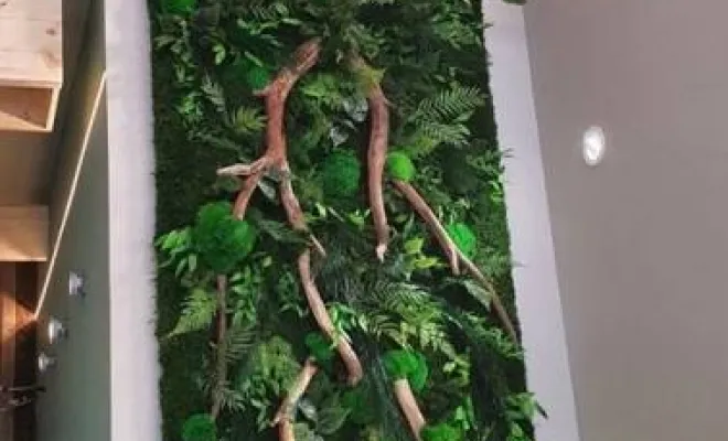 Fabricant cadre végétal stabilisé pour végétaliser les locaux d'entreprise à Lyon, Lyon, MOSS SMART NATURE