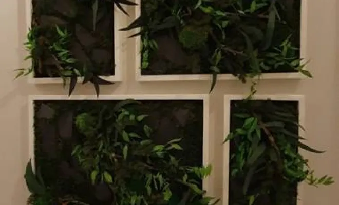 Fabricant cadre végétal stabilisé pour végétaliser les locaux d'entreprise à Lyon, Lyon, MOSS SMART NATURE