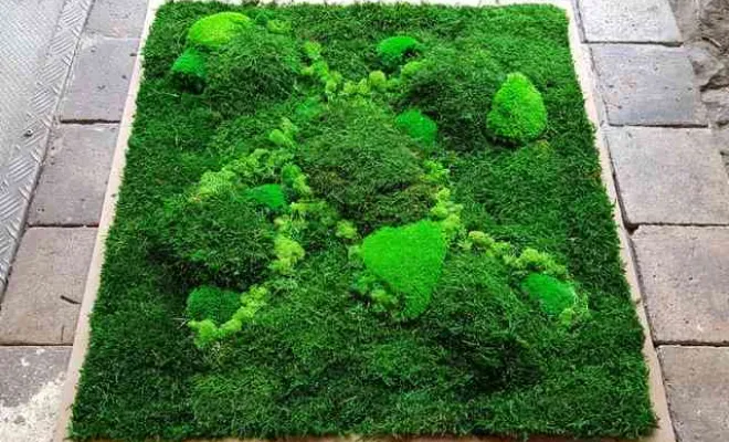 Installer un cadre végétal stabilisé sur mesure dans les locaux professionnels à Lyon, Lyon, MOSS SMART NATURE