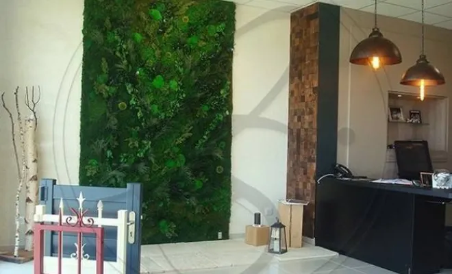 Installer un mur végétal stabilisé en entreprise à Lyon, Lyon, MOSS SMART NATURE
