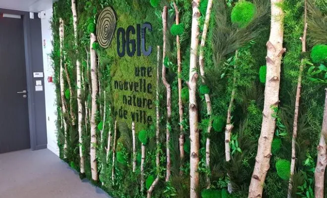 Installer un mur végétal stabilisé en entreprise à Lyon, Lyon, MOSS SMART NATURE