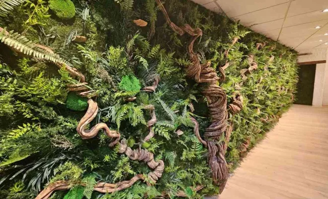 Le mélange semi-naturel, Lyon, MOSS SMART NATURE