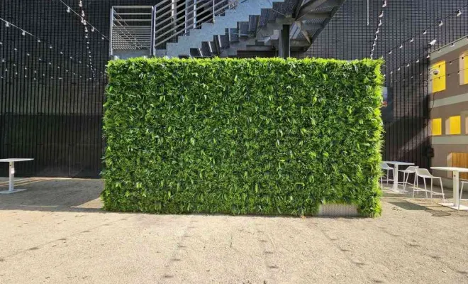 Mur végétal extérieur Lyon, Lyon, MOSS SMART NATURE