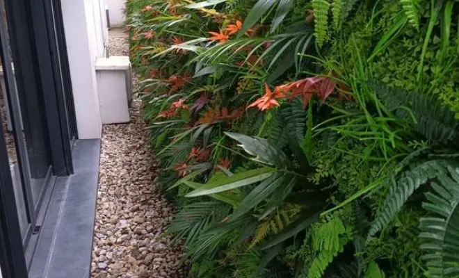 Mur végétal extérieur Lyon, Lyon, MOSS SMART NATURE