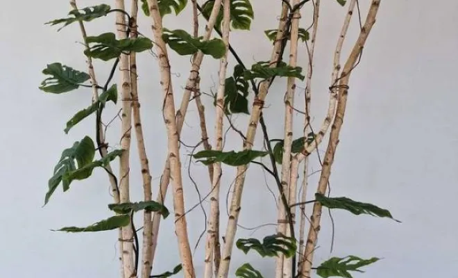 Séparation d'espace de travail à Lyon, Lyon, MOSS SMART NATURE