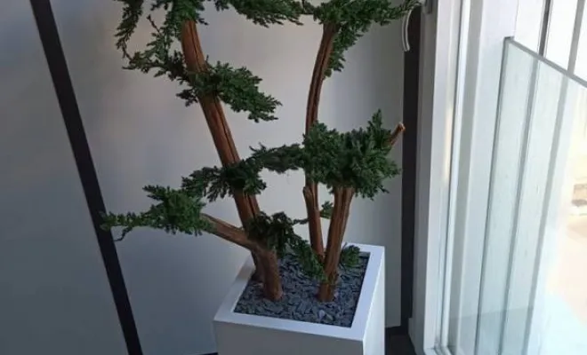 Végétaliser les locaux d'entreprise à Lyon, Lyon, MOSS SMART NATURE