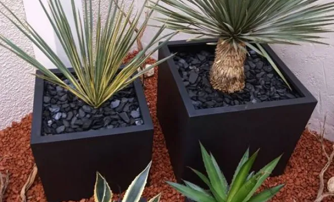 Végétaliser les locaux d'entreprise à Lyon, Lyon, MOSS SMART NATURE