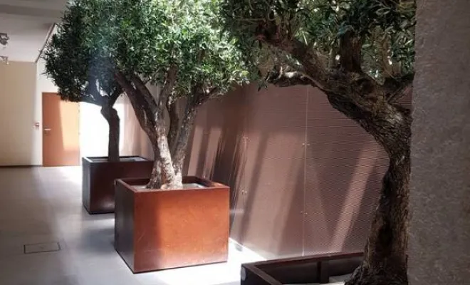 Arbres semi-naturels et plantes stabilisées, Lyon, MOSS SMART NATURE