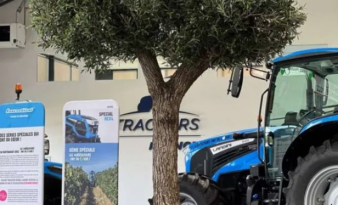 Arbres semi-naturels et plantes stabilisées, Lyon, MOSS SMART NATURE