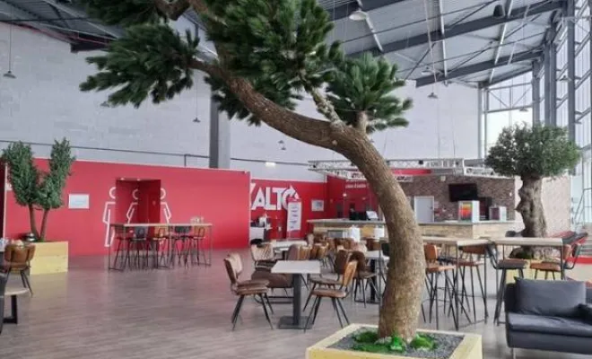 Arbres semi-naturels et plantes stabilisées, Lyon, MOSS SMART NATURE