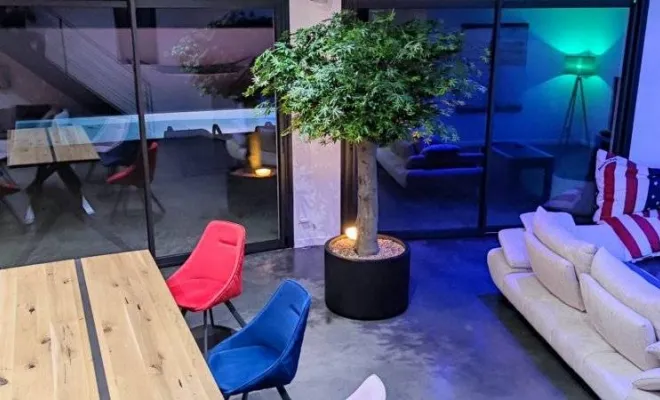 Arbres semi-naturels et plantes stabilisées, Lyon, MOSS SMART NATURE