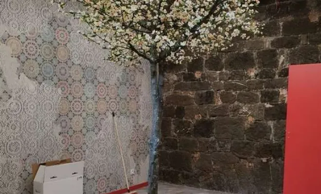 Arbres semi-naturels et plantes stabilisées, Lyon, MOSS SMART NATURE