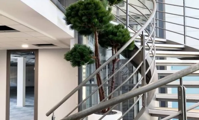 Arbres semi-naturels et plantes stabilisées, Lyon, MOSS SMART NATURE