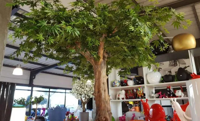 Arbres semi-naturels et plantes stabilisées, Lyon, MOSS SMART NATURE