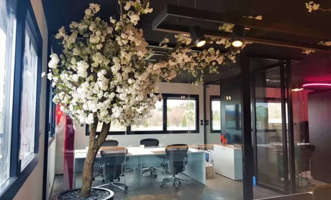 Arbres semi-naturels et plantes stabilisées, Lyon, MOSS SMART NATURE