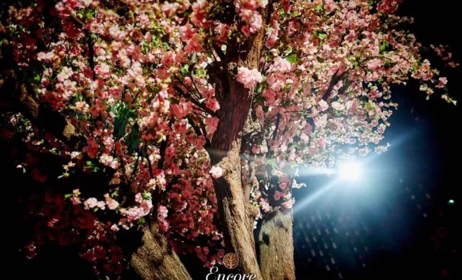 Arbres semi-naturels et plantes stabilisées, Lyon, MOSS SMART NATURE