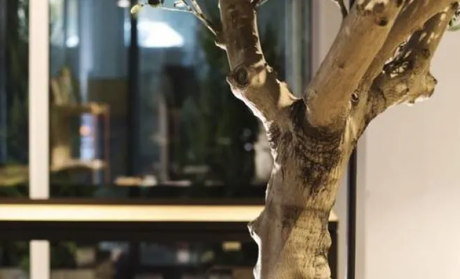 Arbres semi-naturels et plantes stabilisées, Lyon, MOSS SMART NATURE