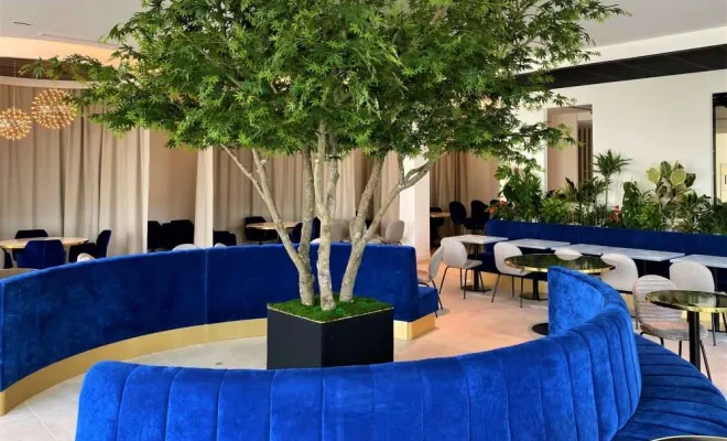 Arbres semi-naturels et plantes stabilisées, Lyon, MOSS SMART NATURE