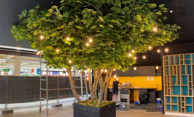 Arbres semi-naturels et plantes stabilisées, Lyon, MOSS SMART NATURE