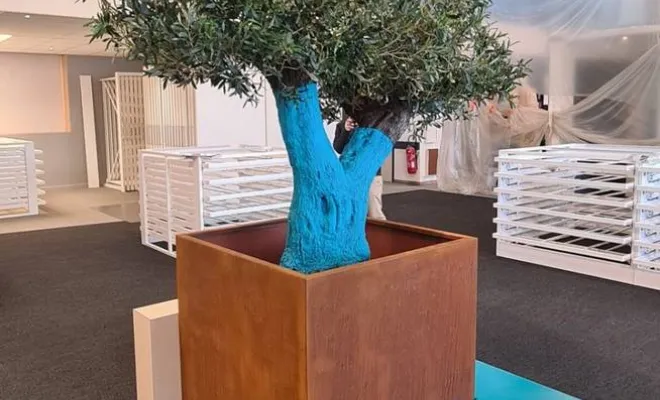 Arbres semi-naturels et plantes stabilisées, Lyon, MOSS SMART NATURE