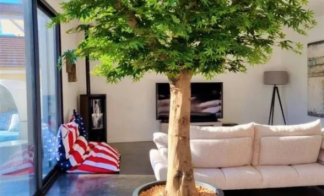 Arbres semi-naturels et plantes stabilisées, Lyon, MOSS SMART NATURE