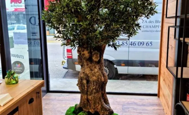 Arbres semi-naturels et plantes stabilisées, Lyon, MOSS SMART NATURE