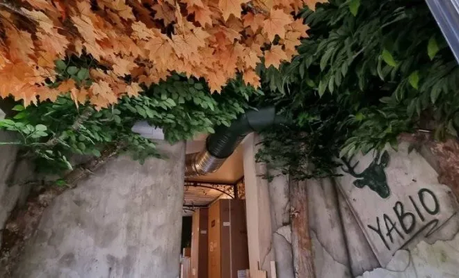 Arbres semi-naturels et plantes stabilisées, Lyon, MOSS SMART NATURE