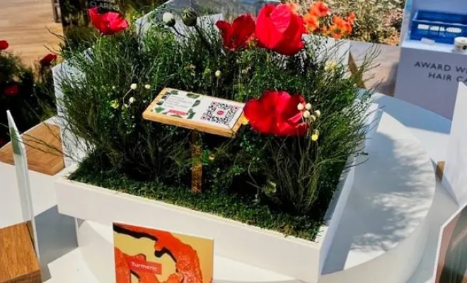 Évènementiel, Lyon, MOSS SMART NATURE