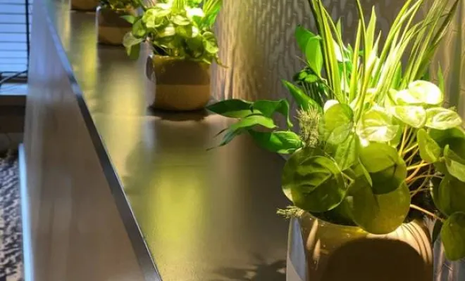 Jardinières, compositions et objets végétalisés, Lyon, MOSS SMART NATURE