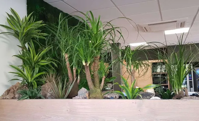 Jardinières, compositions et objets végétalisés, Lyon, MOSS SMART NATURE