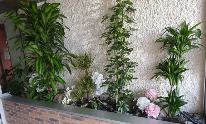 Jardinières, compositions et objets végétalisés, Lyon, MOSS SMART NATURE