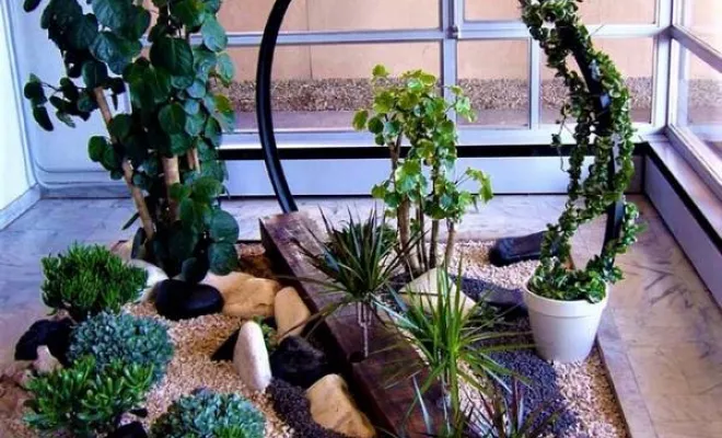 Jardinières, compositions et objets végétalisés, Lyon, MOSS SMART NATURE