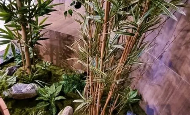 Jardinières, compositions et objets végétalisés, Lyon, MOSS SMART NATURE