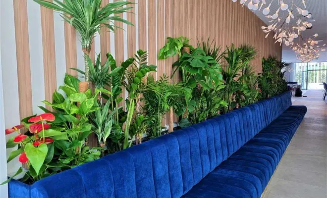 Jardinières, compositions et objets végétalisés, Lyon, MOSS SMART NATURE