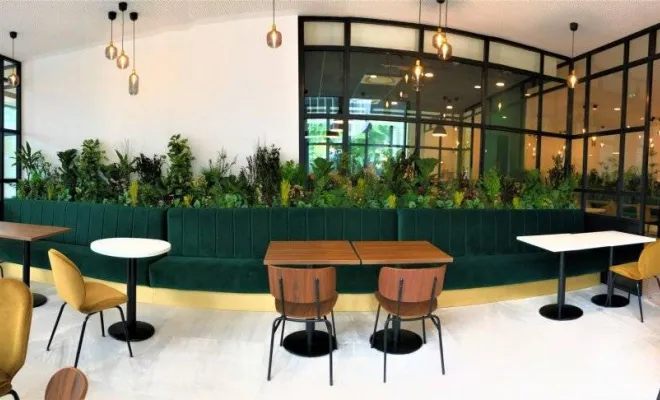 Jardinières, compositions et objets végétalisés, Lyon, MOSS SMART NATURE