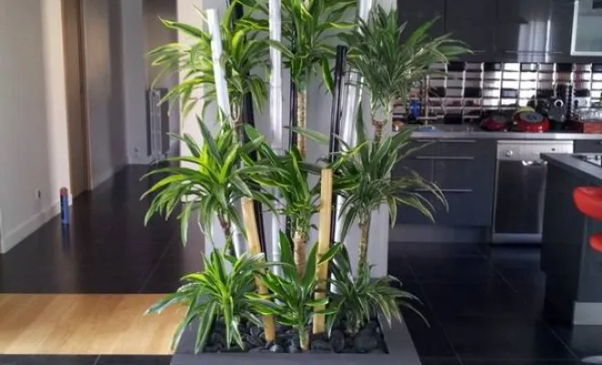 Jardinières, compositions et objets végétalisés, Lyon, MOSS SMART NATURE