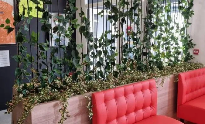 Jardinières, compositions et objets végétalisés, Lyon, MOSS SMART NATURE