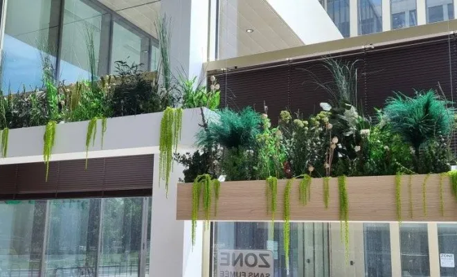 Jardinières, compositions et objets végétalisés, Lyon, MOSS SMART NATURE