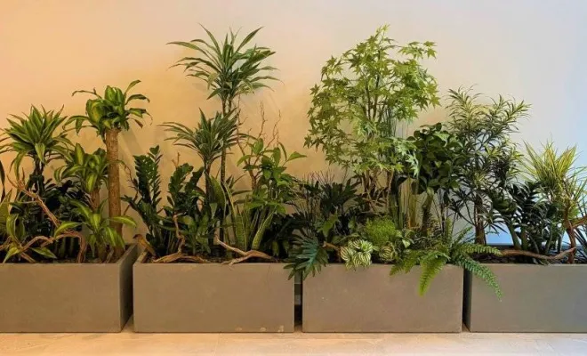 Jardinières, compositions et objets végétalisés, Lyon, MOSS SMART NATURE