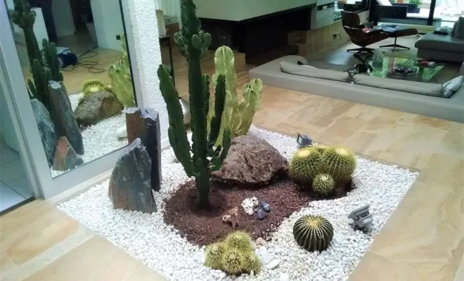 Jardinières, compositions et objets végétalisés, Lyon, MOSS SMART NATURE