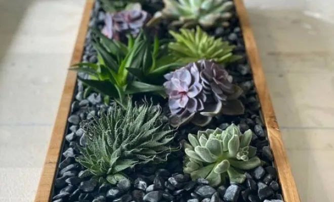 Jardinières, compositions et objets végétalisés, Lyon, MOSS SMART NATURE