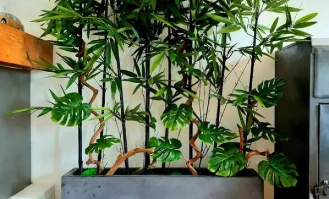 Jardinières, compositions et objets végétalisés, Lyon, MOSS SMART NATURE