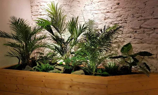 Jardinières, compositions et objets végétalisés, Lyon, MOSS SMART NATURE