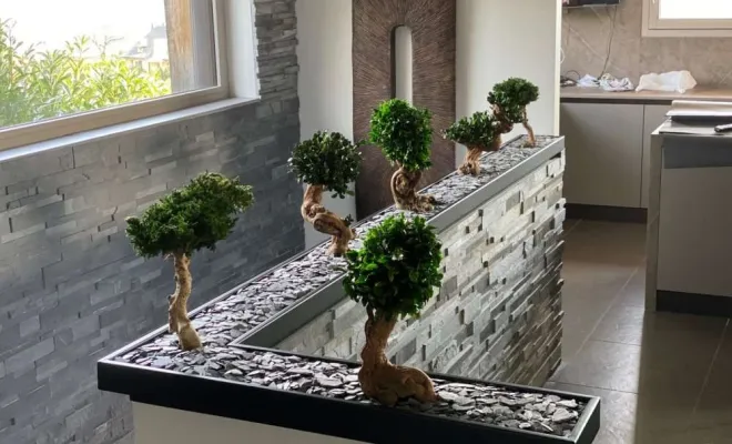 Jardinières, compositions et objets végétalisés, Lyon, MOSS SMART NATURE