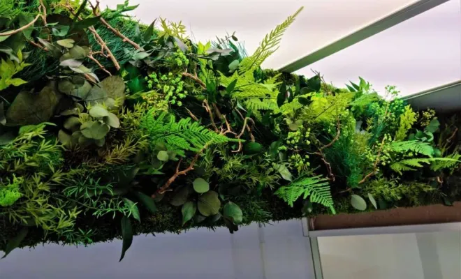 Plafond végétalisé, Lyon, MOSS SMART NATURE