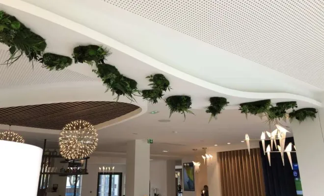 Plafond végétalisé, Lyon, MOSS SMART NATURE