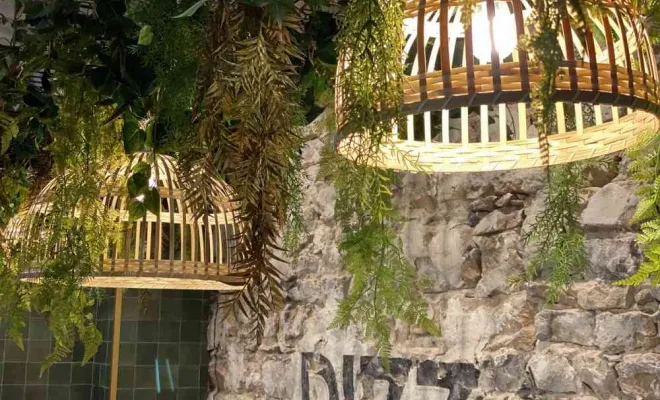 Plafond végétalisé, Lyon, MOSS SMART NATURE