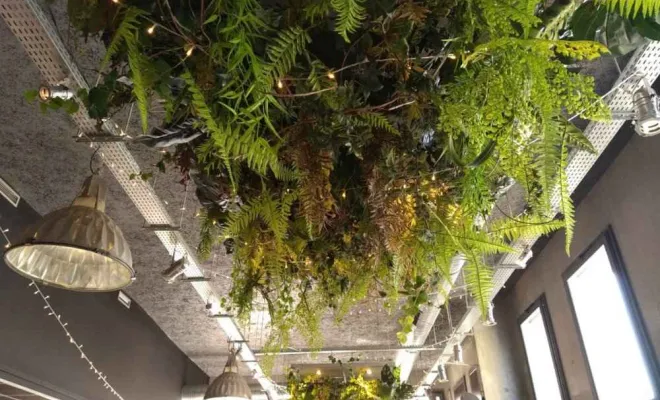 Plafond végétalisé, Lyon, MOSS SMART NATURE